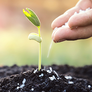 Fertilizers/Nutrients